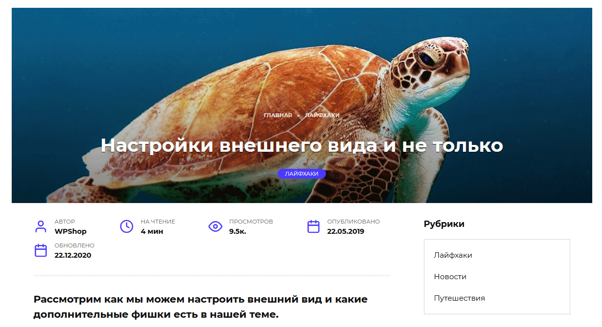 Страница сайта на основе темы Reboot
